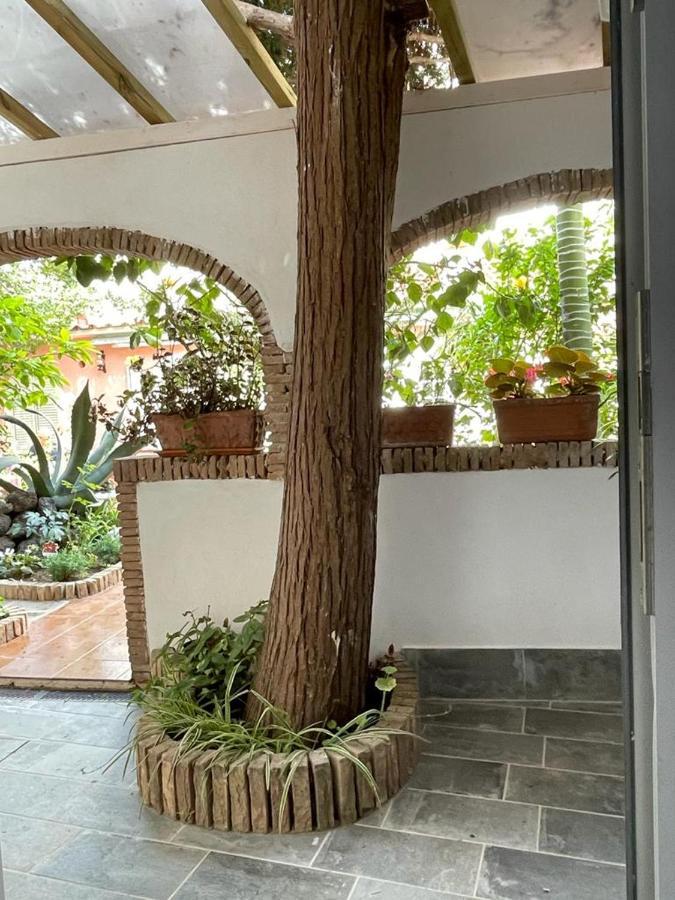 Piccolo Bed Bed and Breakfast Procida Buitenkant foto